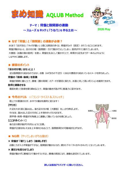 2605mame 1